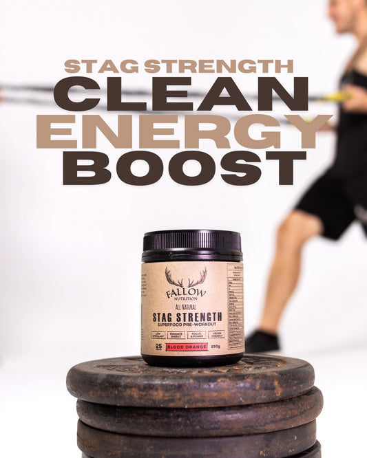 Vegan Protein That Actually Tastes Good (We Promise)