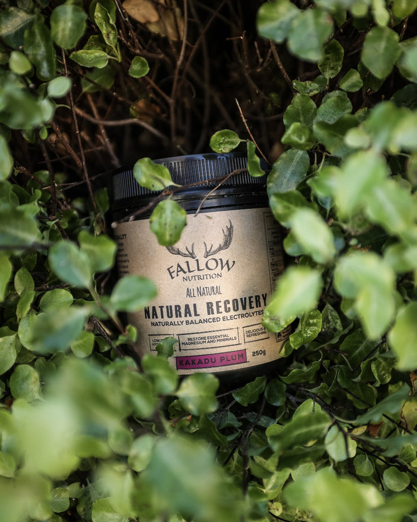 Quick & Healthy Meals with Superfood Boosts